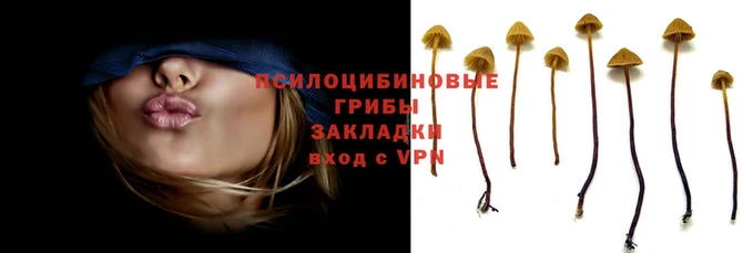 меф Ахтубинск