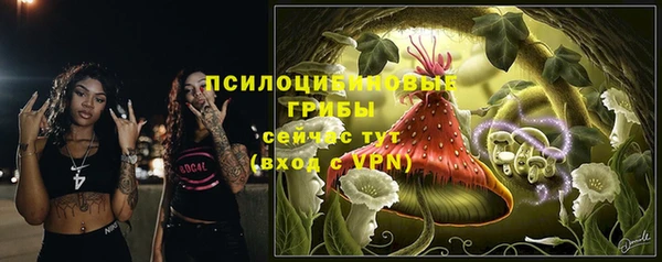 ALPHA-PVP Горнозаводск