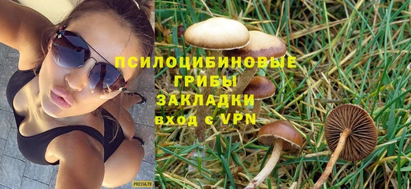 кристаллы Аша
